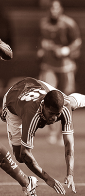 palmeiras notin